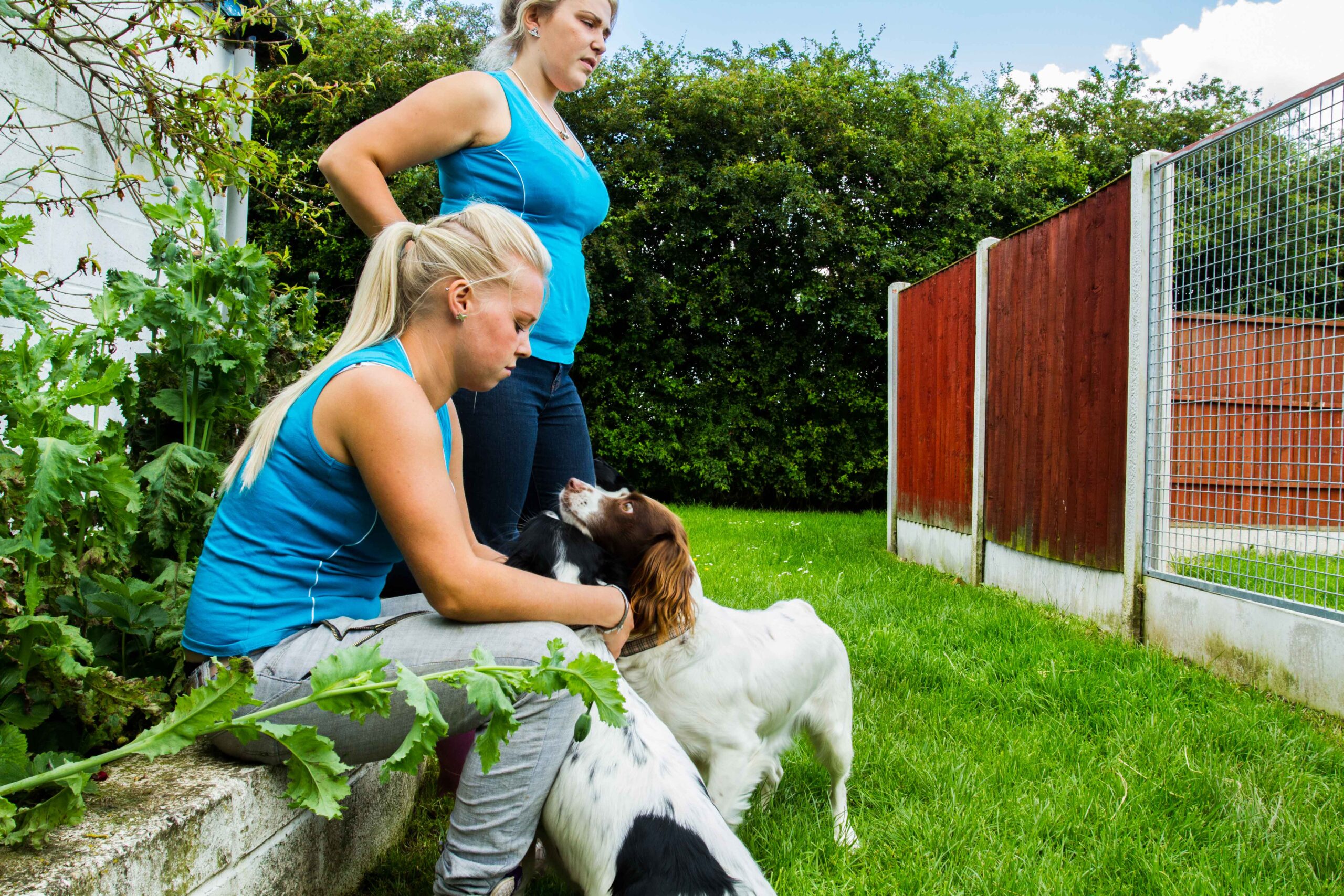 Top 10 questions to ask before putting your dog into kennels