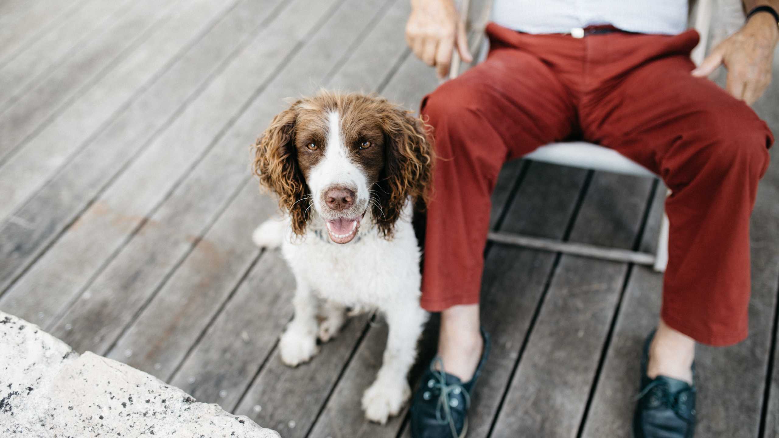 old man with dog