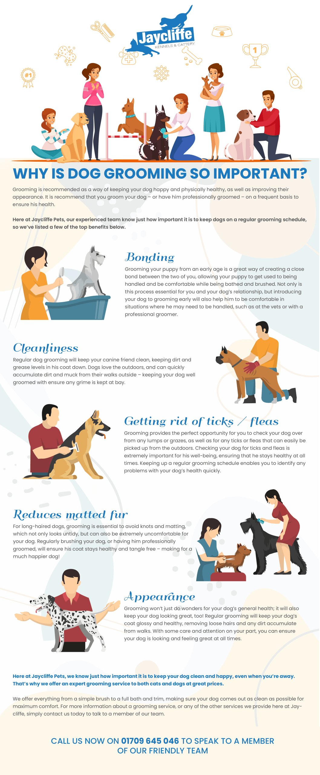 why is dog grooming so important