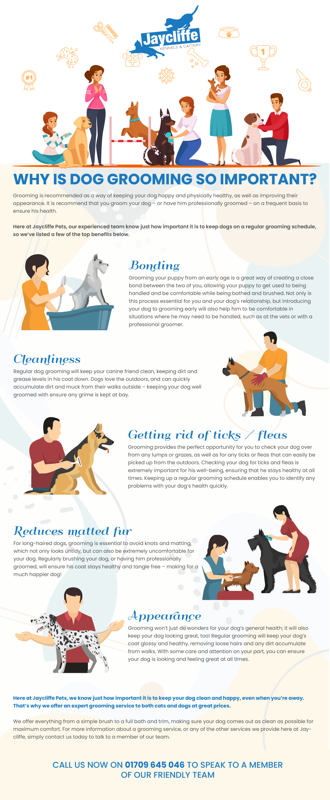 Dog Grooming Advice Uk