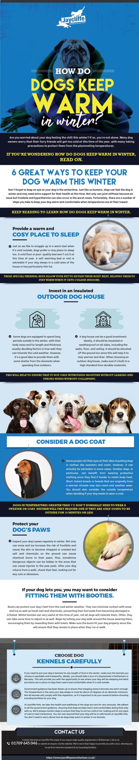 how to keep dogs warm in winter