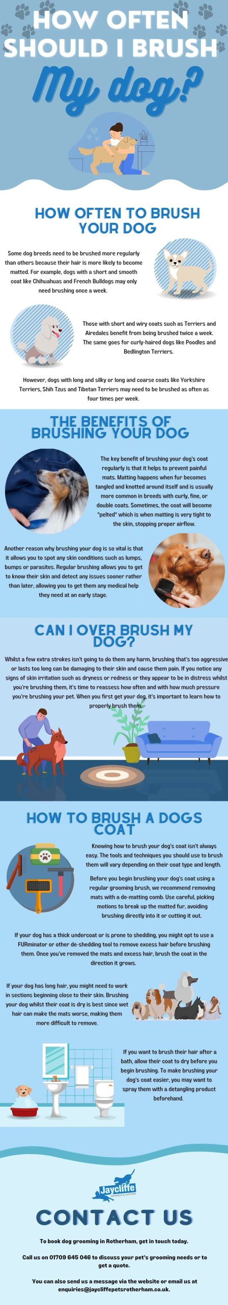 how often show I brush my dog