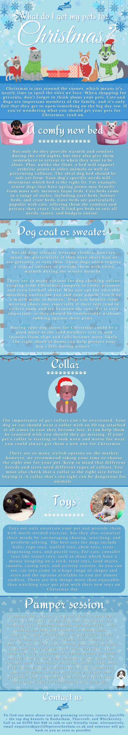 what do i get my pet for christmas