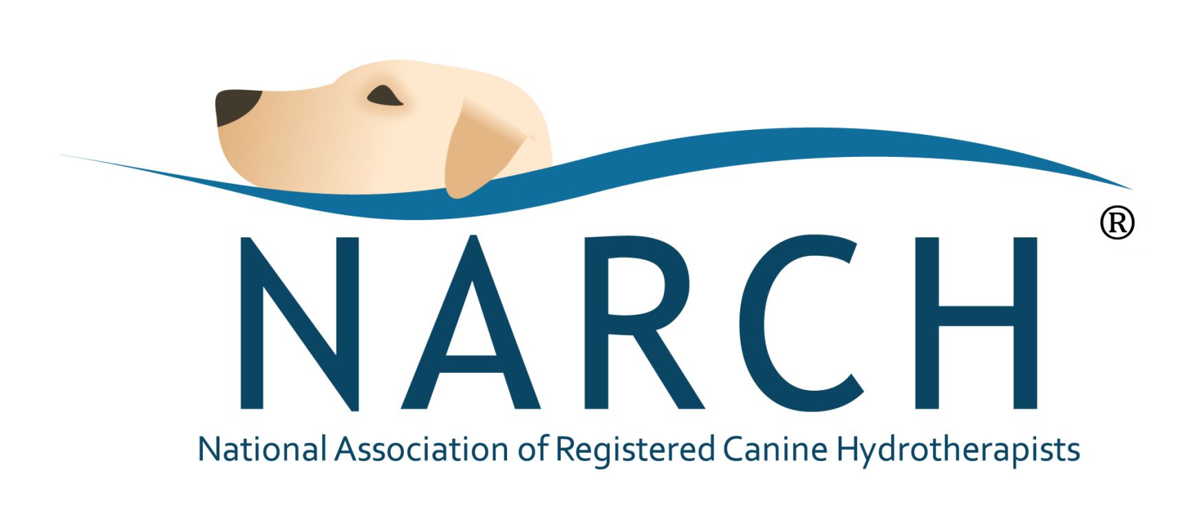 Narch logo