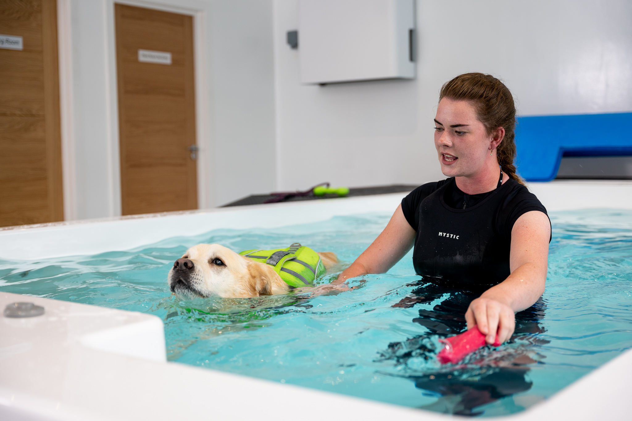 Dog Hydrotherapy in Sheffield