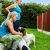 dog kennels Dinnington