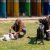 Doggy Day Care Rotherham